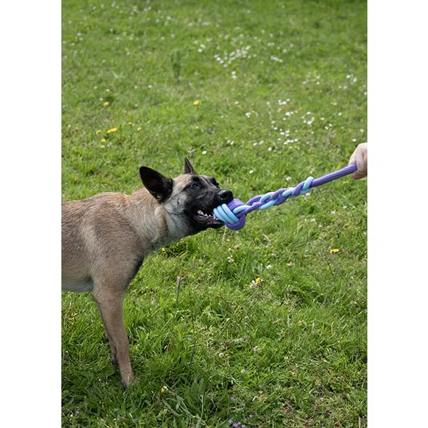 Battersea Rope And Rubber Tug Toy