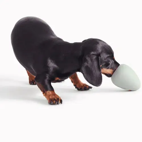Beco - Natural Rubber Boredom Buster - Green