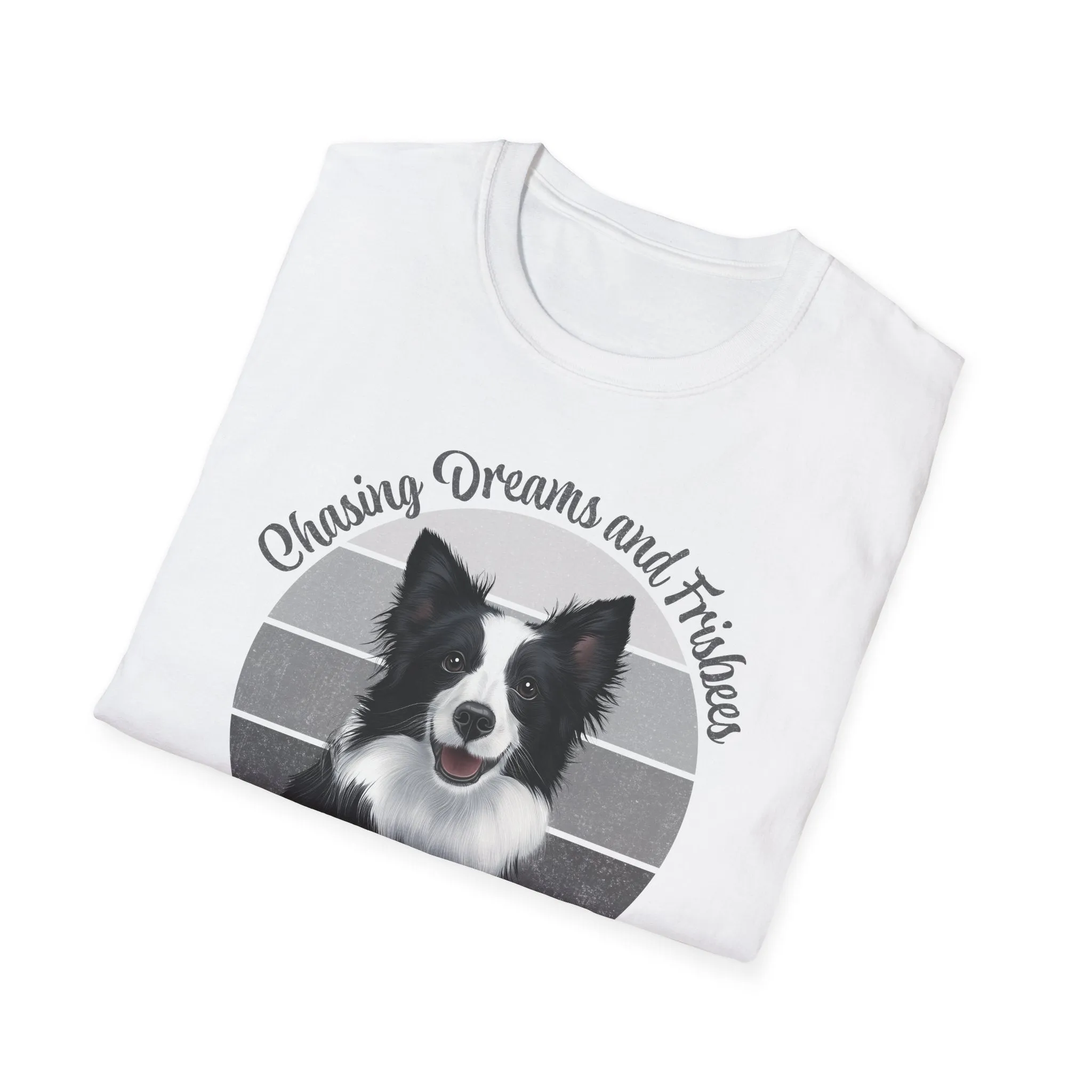 Border Collie Chasing Dreams and Frisbees