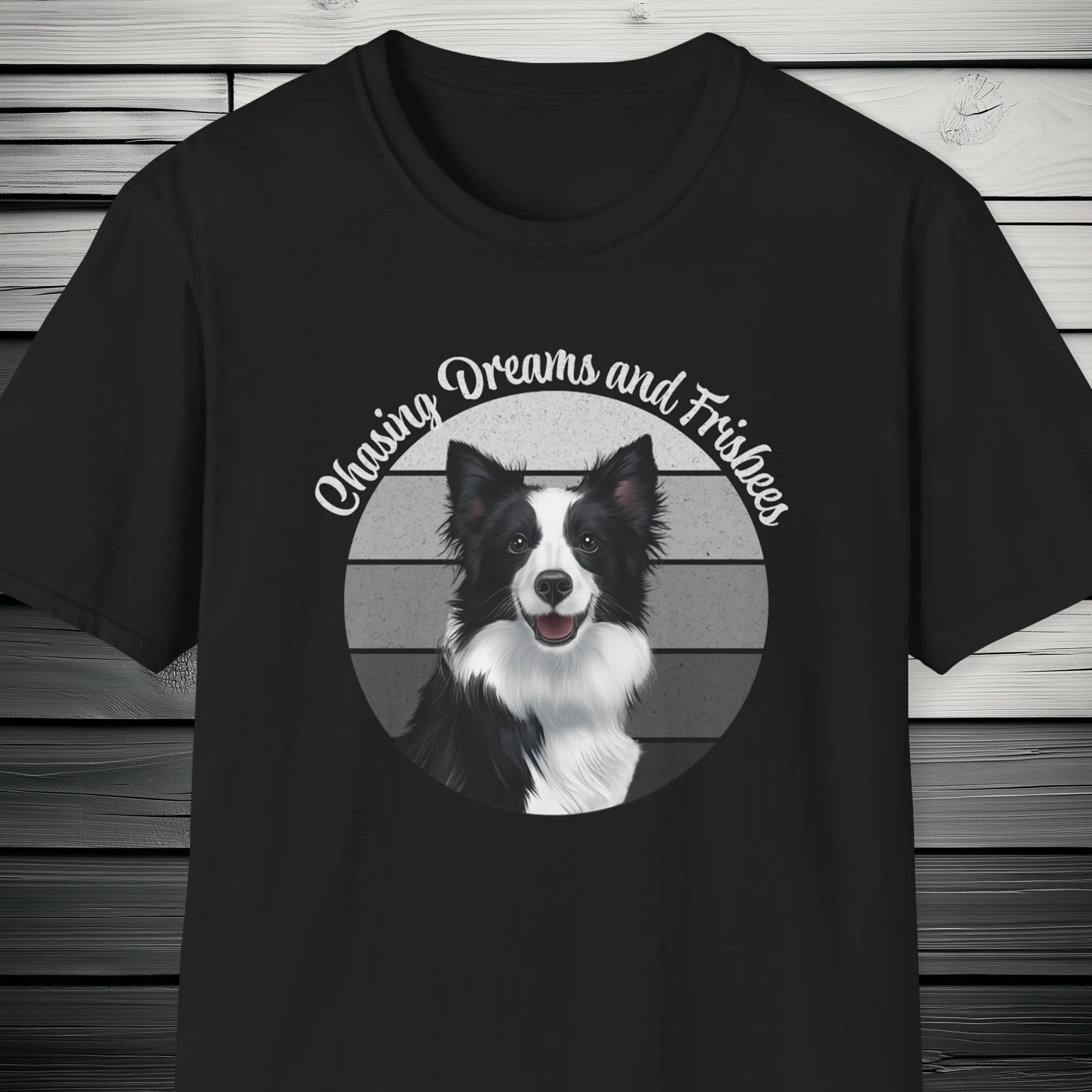 Border Collie Chasing Dreams and Frisbees