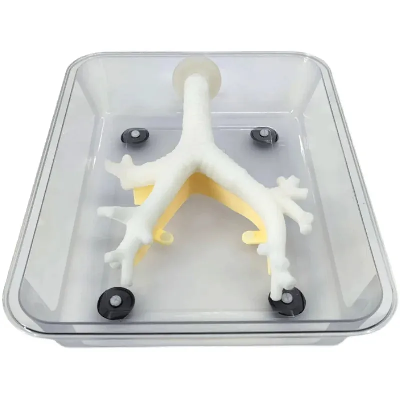 Bronchoscopy training model Fiberoptic Bronchoscopy Exercises Secondary Branch