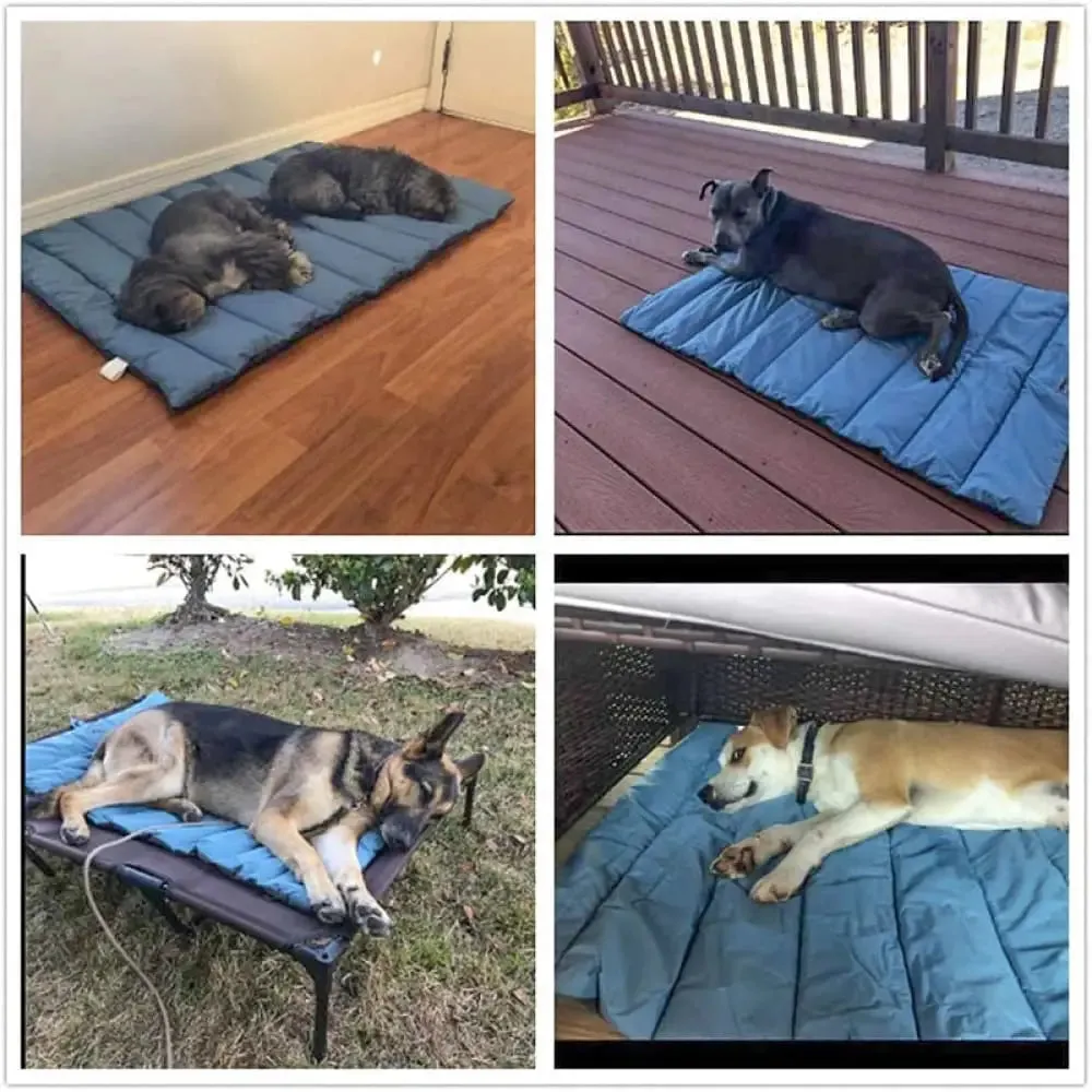 Foldable Waterproof Durable Breathable Dog Bed for Small, Medium, and Large Dogs