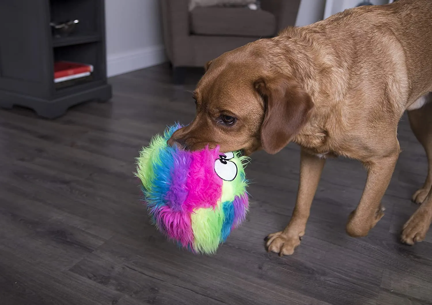 Furballz Squeaky Plush Ball Dog