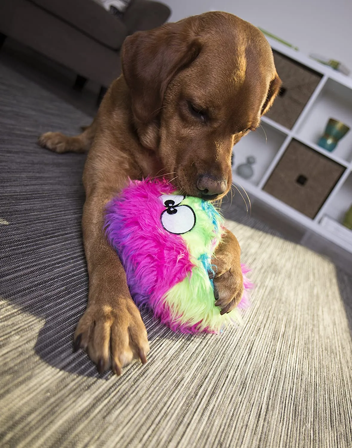 Furballz Squeaky Plush Ball Dog