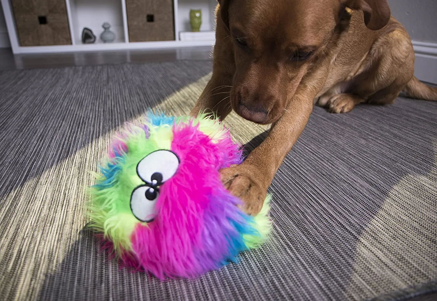 Furballz Squeaky Plush Ball Dog