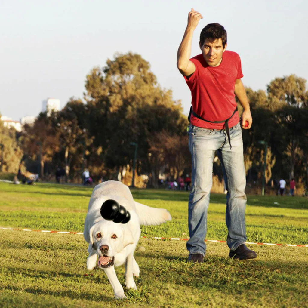 Kong Extreme Fetch & Chew Dog Toy for Aggressive Dogs
