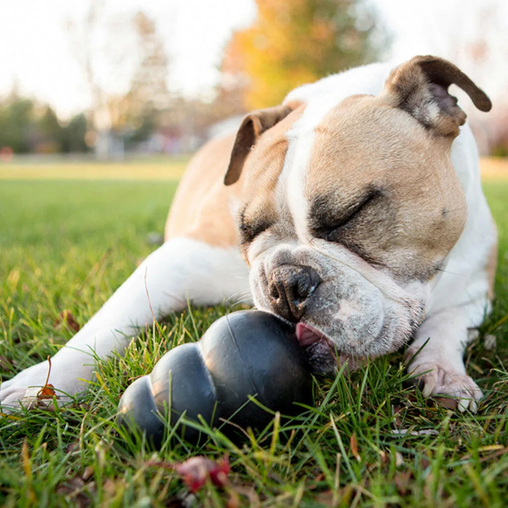 Kong Extreme Fetch & Chew Dog Toy for Aggressive Dogs