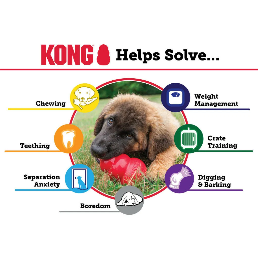 Kong Extreme Fetch & Chew Dog Toy for Aggressive Dogs