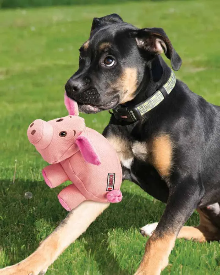 KONG Phatz Pig - 2 sizes
