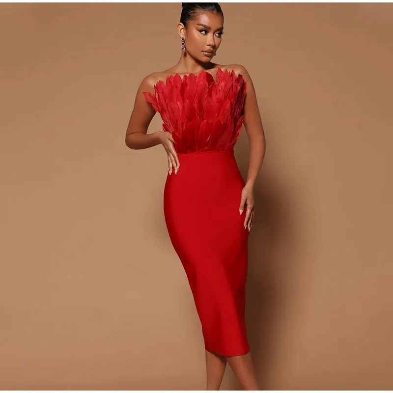 Liana Tube Dress with Feather Detailing