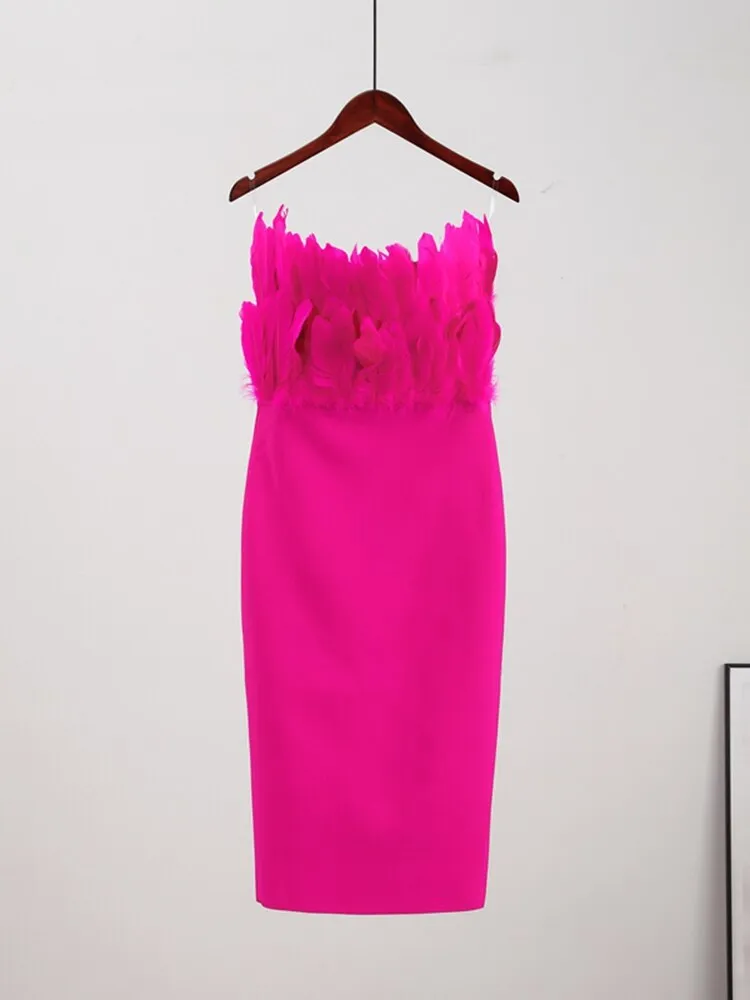 Liana Tube Dress with Feather Detailing