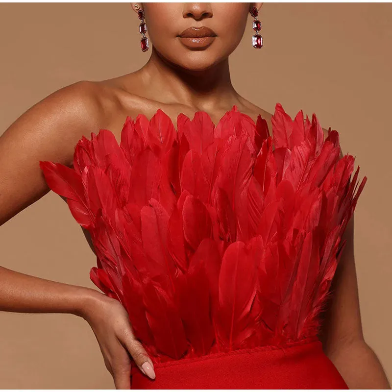 Liana Tube Dress with Feather Detailing