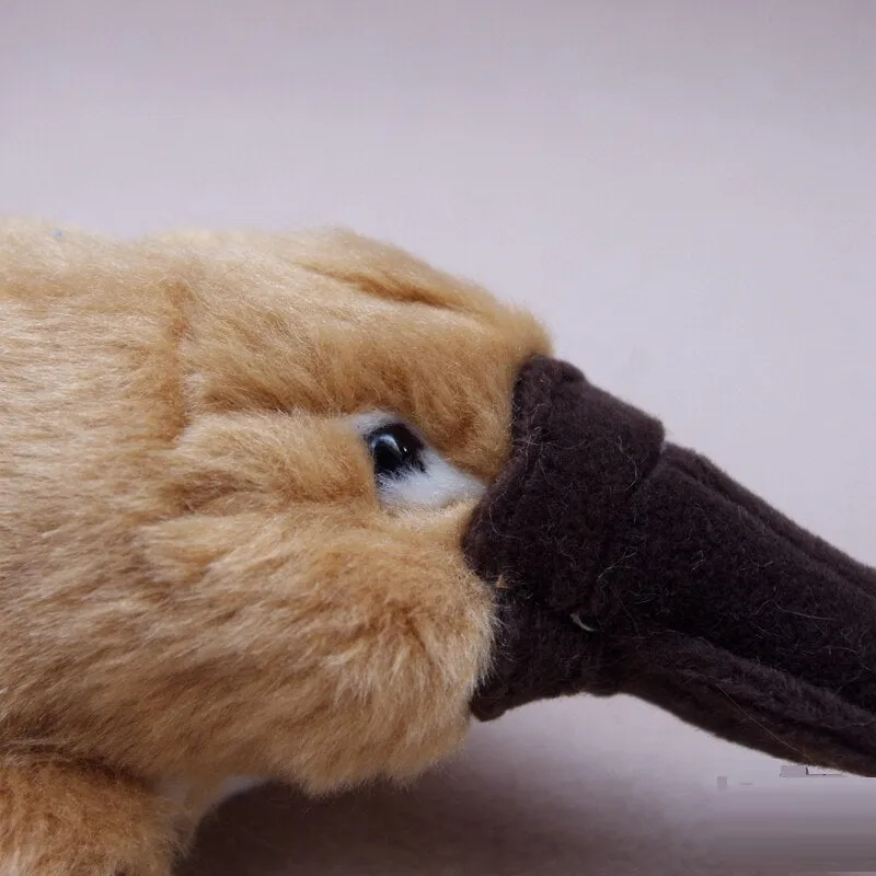 Platypus Plush Toy