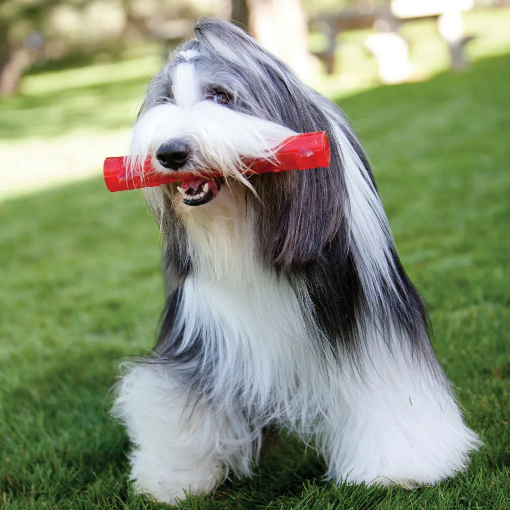 Shop Kong Squeezz Ball Dog Toy For Chewing - HardyPaw